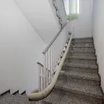 L O L A Apartamento